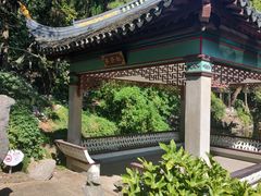-叶家花园