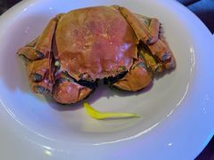 清蒸大闸蟹-蟹榭·本帮江浙菜·蟹宴(五角场合生汇商场店)