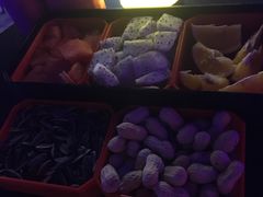 -好久不见网红乐队酒吧(鼓浪屿海底世界店)