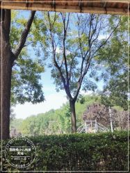-酷酷兔少儿拓展天地