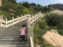 -洋山深水港