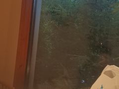 -西郊竹园甲鱼面(老一中店)