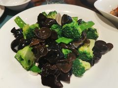 -大树餐厅(益田假日店)