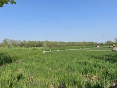 -永定河休闲森林公园