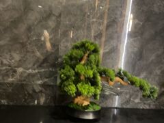 -豫满楼(郑东新区店)