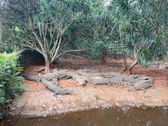-海南热带野生动植物园