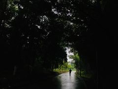 -洪湖悦兮半岛国际温泉度假村