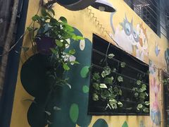 -小洲村