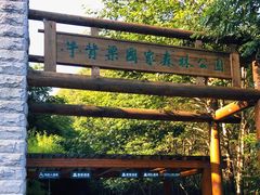-牛背梁国家森林公园