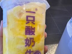 -一只酸奶牛(春熙路店)