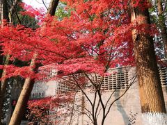 -重庆工商大学(南岸校区)