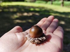 -八大关景区