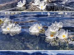 -丽江泸沽湖景区