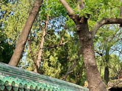 -北京国子监胡同