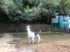 -昆明动物园