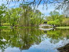 -上海共青森林公园