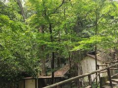 -凤栖山