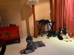 -太阳岛度假酒店