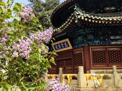 -潭柘寺景区