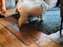 -the rug 飞毯 (朝阳公园店)