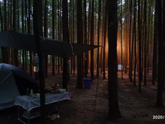 -山王坪喀斯特国家生态公园