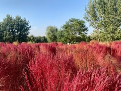 -汉长安城未央宫国家考古遗址公园