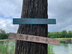 -长白山万达锦华套房酒店