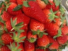 -堤口果品批发市场