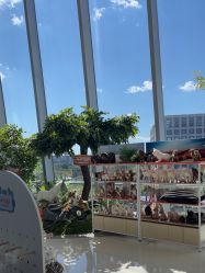 点击看大图 -IMON·HANSA潮玩玩偶毛绒玩具(通州万象汇店)