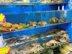-蚝专家(北滘店)