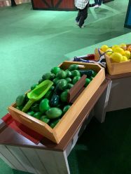 -幻贝家儿童乐园(温州银泰城店)