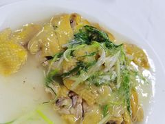 豉油鸡-新陶陶酒家