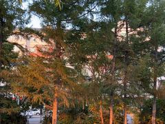 -长春市南湖公园