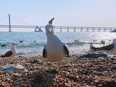 -星海广场
