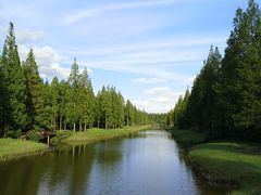 -黄海国家森林公园
