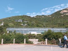 -石老人观光园