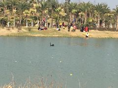 -瑶湖郊野森林公园