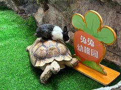 -赛格国际购物中心(小寨店)