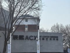 -辰熙ACX星海艺术中心