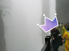 -张关合渣(航空大道店)