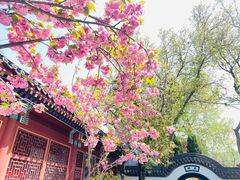 -荣国府