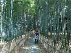 -宝岩生态观光园