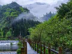 -龙苍沟森林公园