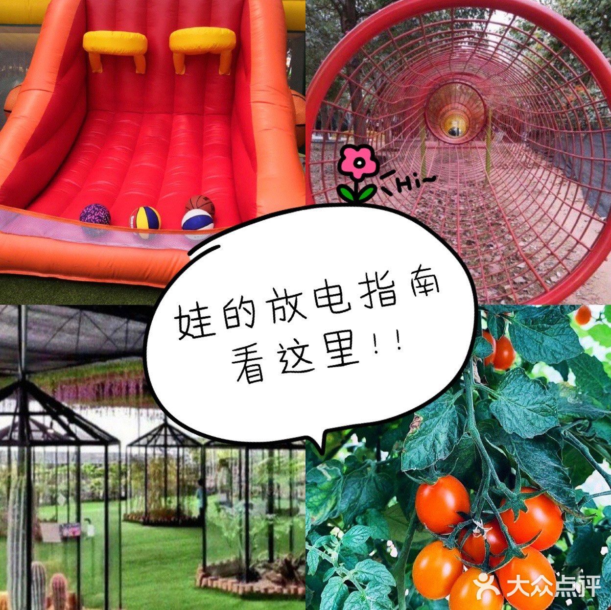 喜出望外生态乐园480m
