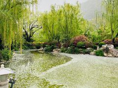 -华清宫景区