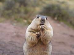 -東锐锦汇汽车服务有限公司(焦家湾店)