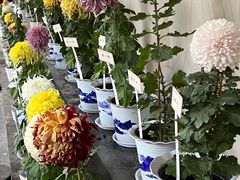 -杭州植物园