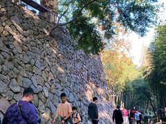 -莫干山风景区