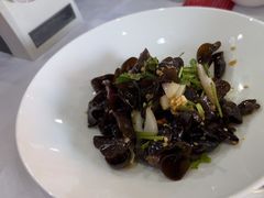 -九头鸟酒家(东高地店)