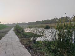 -洨河生态公园